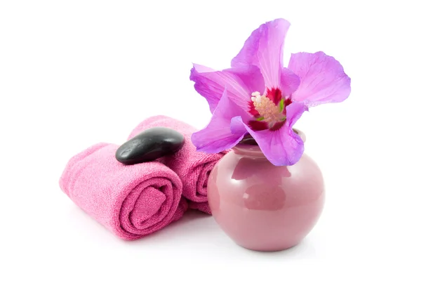 Purple spa accessory — Stock Photo, Image