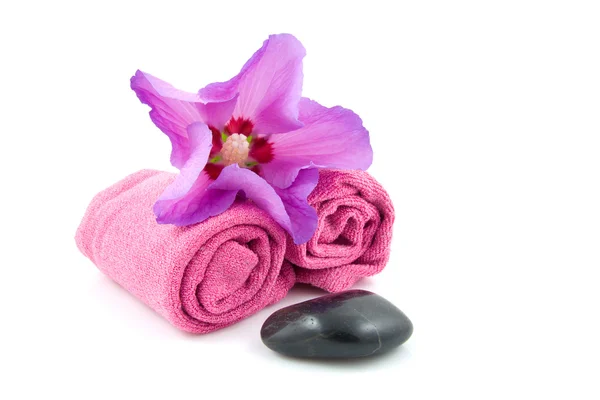 Purple spa accessory — Stock Photo, Image