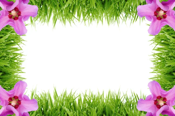 Telaio realizzato in erba — Foto Stock