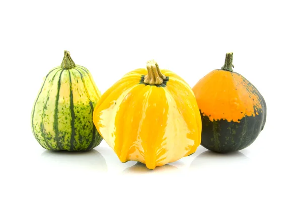 Different kind of gourds — Stock Photo, Image