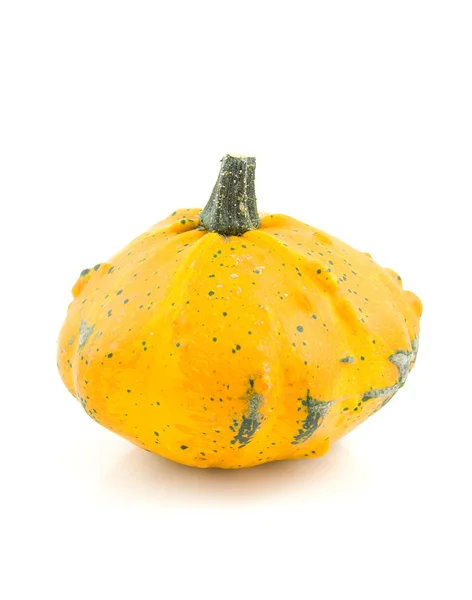 Один жовтий gourd — стокове фото