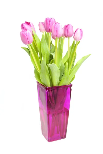 Tulipani rosa in vaso — Foto Stock