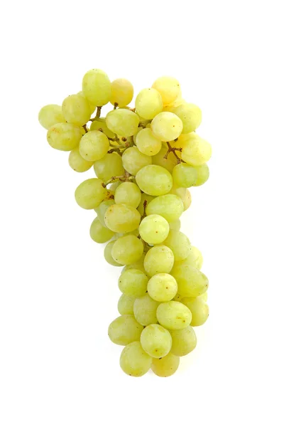 Ramo de uvas blancas — Foto de Stock