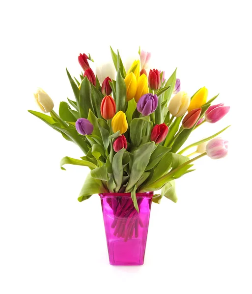 Colorul Dutch tulips in pink vase — Stock Photo, Image