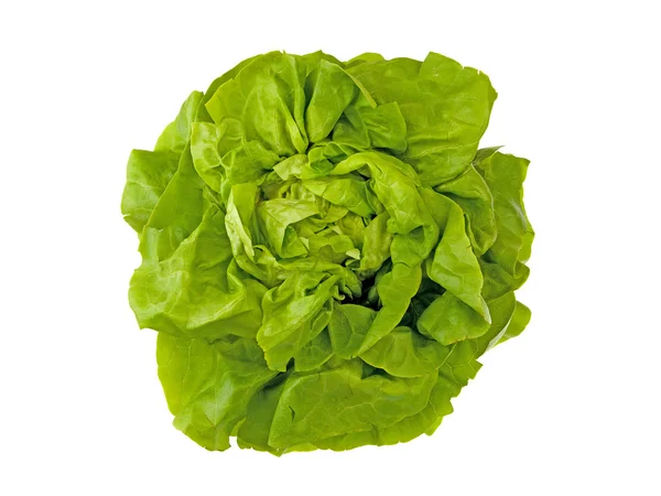 Φρέσκια πράσινη σαλάτα — Φωτογραφία Αρχείου