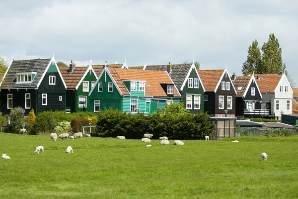ठराविक डच घरे — स्टॉक फोटो, इमेज