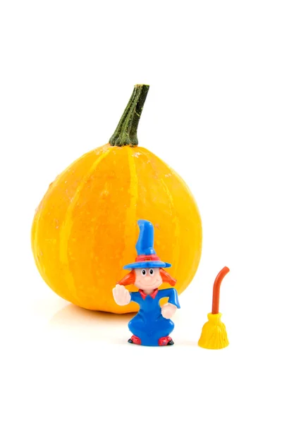 Pumpkin for Halloween with wich — Stock Photo, Image