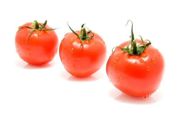 Tomates rojos en aerosol —  Fotos de Stock