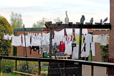 Çamaşırhane clothesline üzerinde