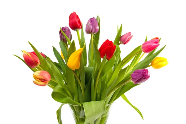 Bouquet of Dutch tulips — Stock Photo, Image