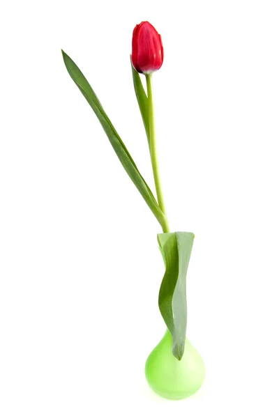 緑色の花瓶で赤いチューリップ — ストック写真