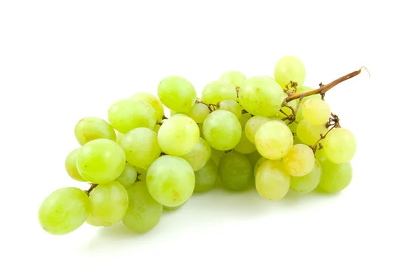 Agrupamento de uvas brancas frescas — Fotografia de Stock