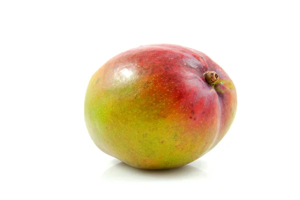 新鮮なマンゴーの実 — ストック写真