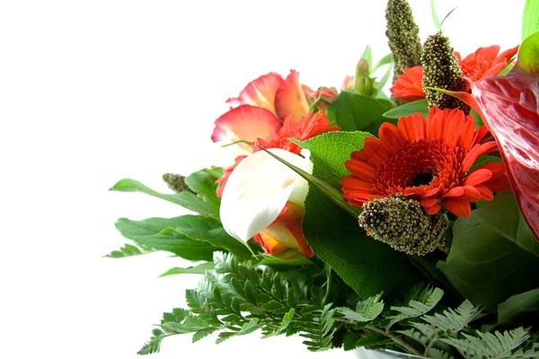 Belo buquê de flores vermelhas — Fotografia de Stock