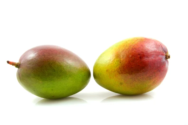 Két friss mangó gyümölcs — Stock Fotó