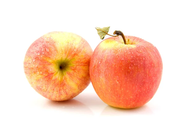 Dos manzanas jugosas frescas con gotas de agua — Foto de Stock