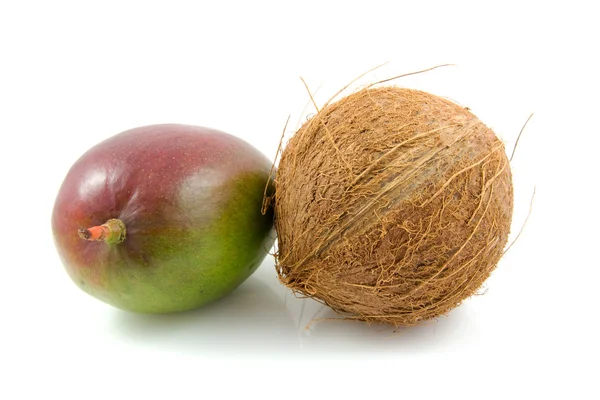 Tropisk kokosnøtt og mango – stockfoto