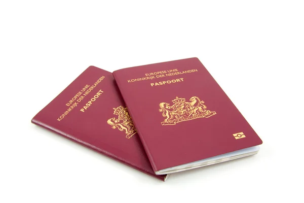 Голландська драйверів ліцензії та паспорт — стокове фото