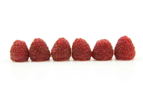 Six fresh raspberries — Stock Photo, Image