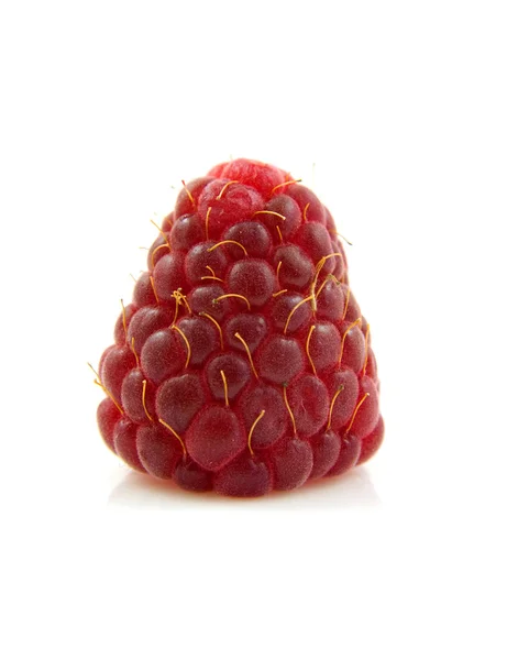 Una fresa fresca — Foto de Stock