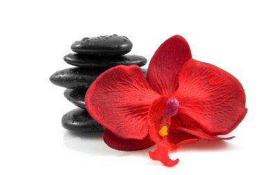 Stacked black spa stones with silk orchid clipart