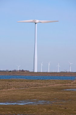 Hollanda rüzgar değirmenleri