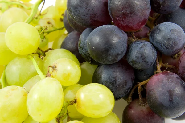 Clusters van druiven in close-up — Stockfoto