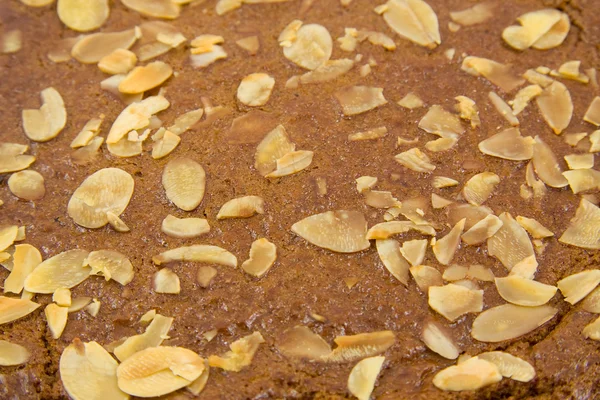Typical filled Dutch pie with almond for Sinterk — Stock Photo, Image