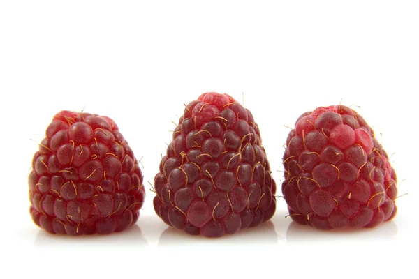 Three raspberries in a row — Stock Photo, Image