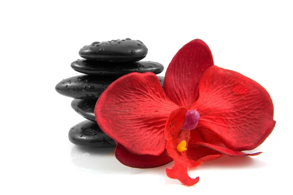 Pedras de spa pretas empilhadas com orquídea de seda — Fotografia de Stock