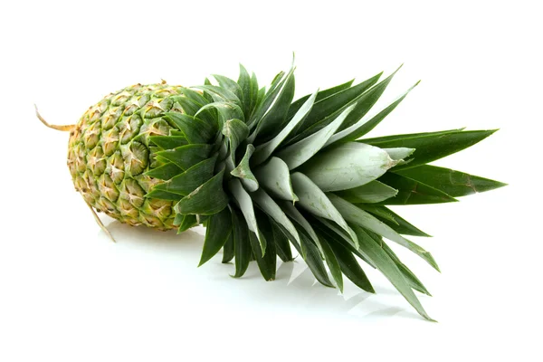 Um ananás fresco — Fotografia de Stock