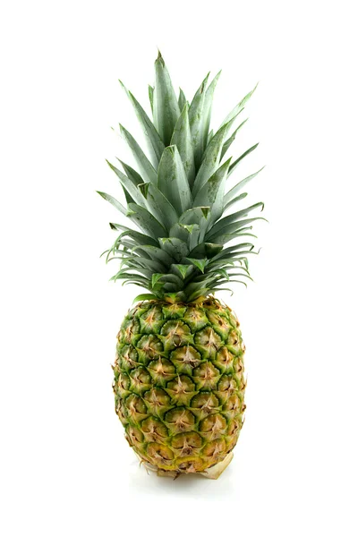 Jeden čerstvý ananas — Stock fotografie