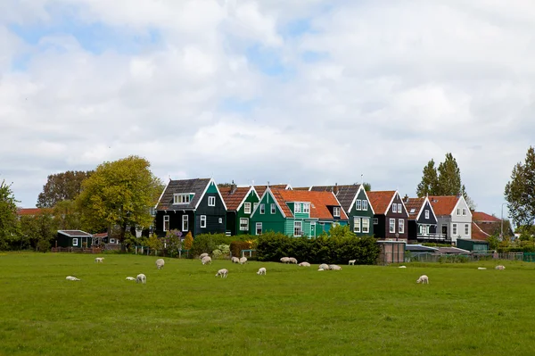 Τυπικό ολλανδικό σπίτια στο marken — Φωτογραφία Αρχείου