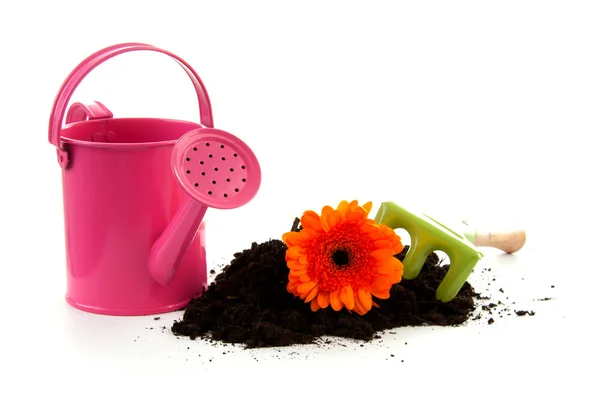 Coloridas herramientas de jardinería — Foto de Stock