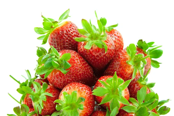 Beaucoup de fraises empilées — Photo