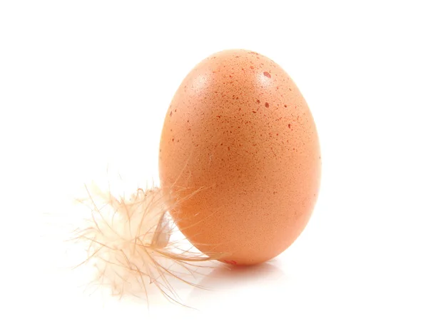 Jedno hnědé slepičí vejce s péřová přikrývka — Stock fotografie