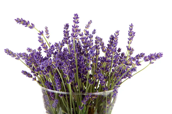 Plucked lavender in glass vase — Stock Photo, Image