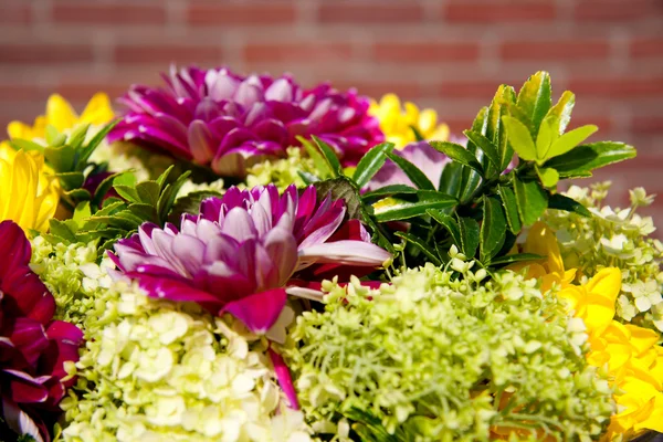 Arreglo floral —  Fotos de Stock