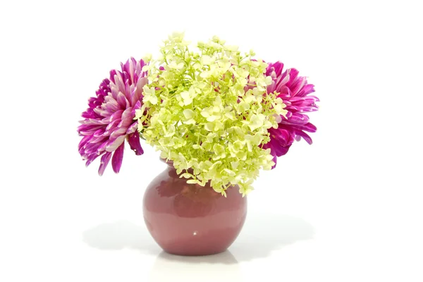 Dahlia flowers in vase — Stock Photo, Image