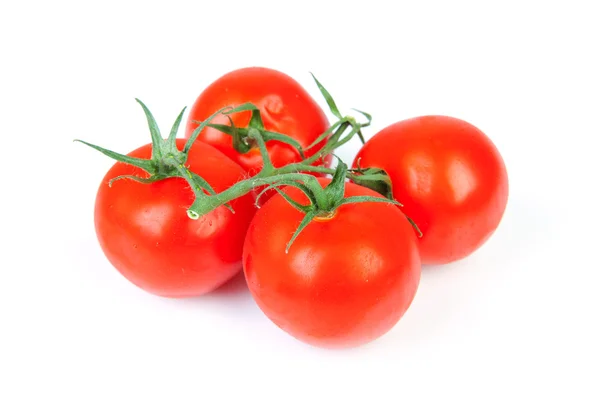 Bunch tomates frescos — Fotografia de Stock