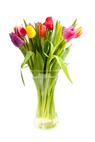 Bouquet of Dutch tulips in vase — Stock Photo, Image