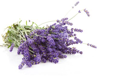 Bouquet of plucket lavender clipart