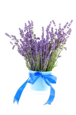 Bouquet of plucket lavender clipart