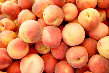 Group of peaches clipart