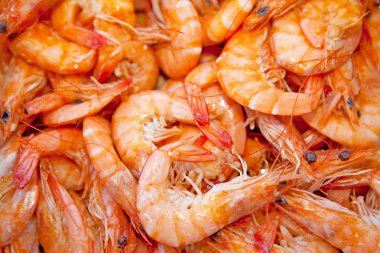 Cooked shrimp clipart