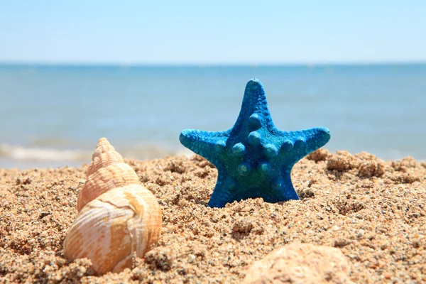 Modré hvězdice na pláži — Stock fotografie