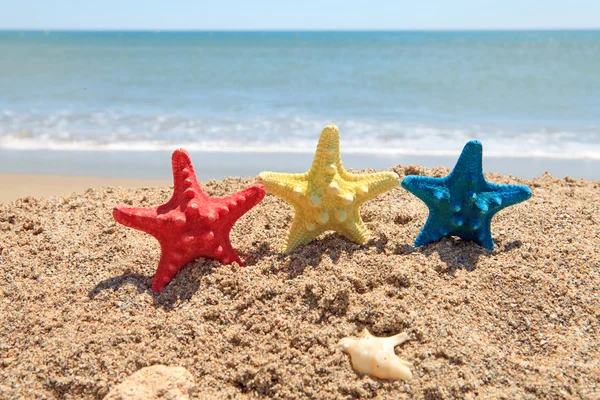 Barevná Hvězdice na pláži — Stock fotografie