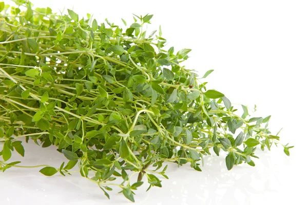 stock image Fresh thyme herb in closeup