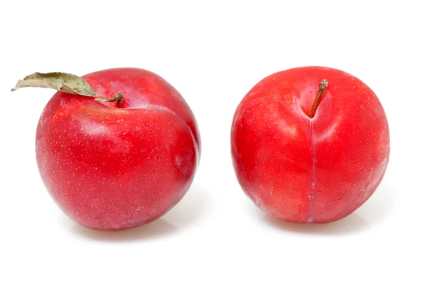 Two red plums — Stock Photo, Image