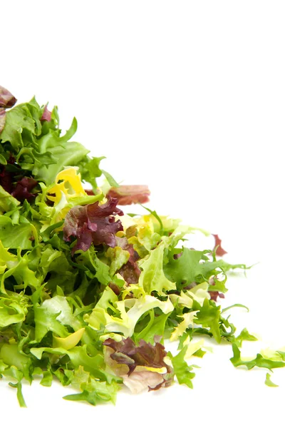 Купка свіжого салату впритул — стокове фото